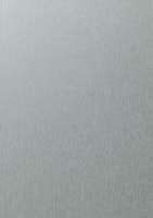 renolit 42.Silver_Brush_Effect